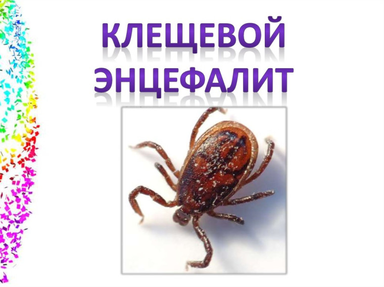 "Горячая линия".